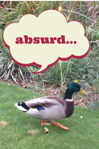 absrd