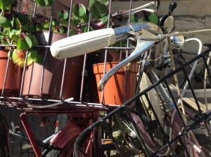 bicycle with plant