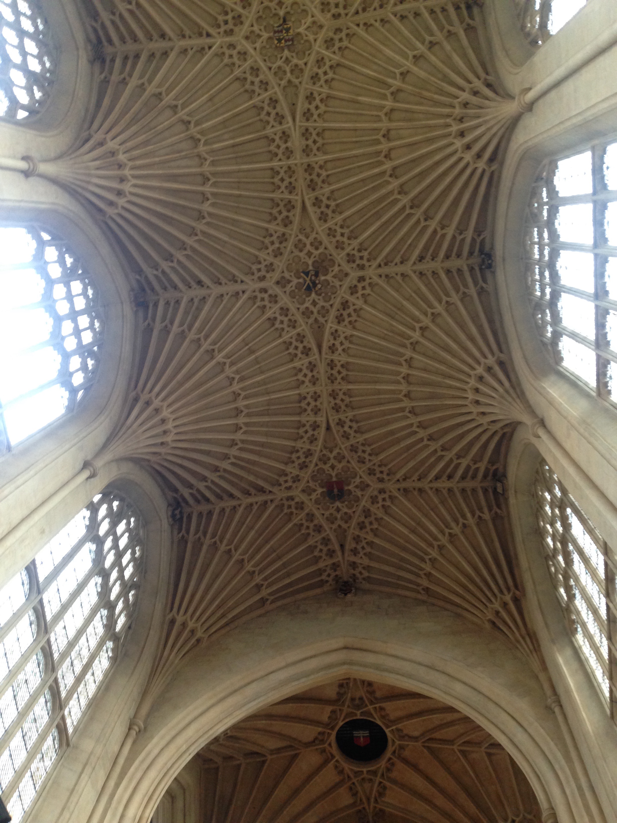 Bath Gardens and Abbey | lita doolan media