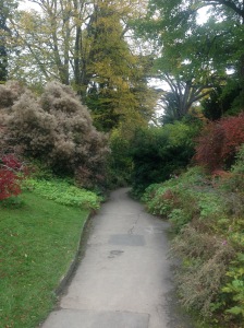 Bath Botanic Garden